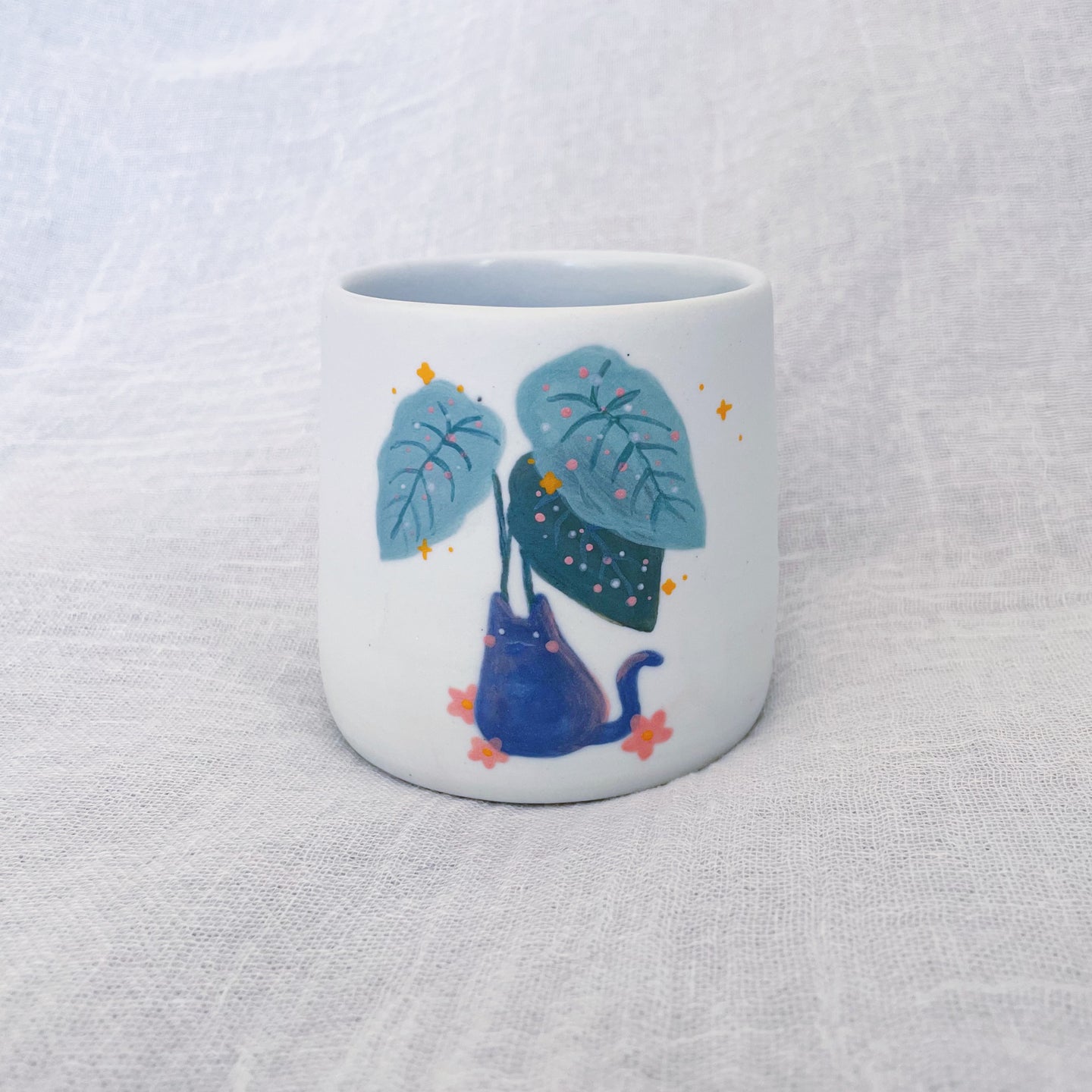 Begonia cat cup